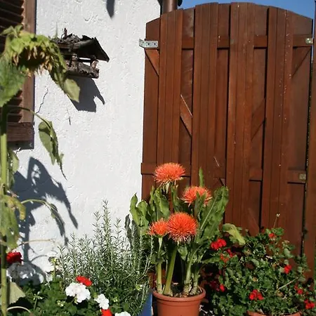 Haus Angerbichl Lägenhet